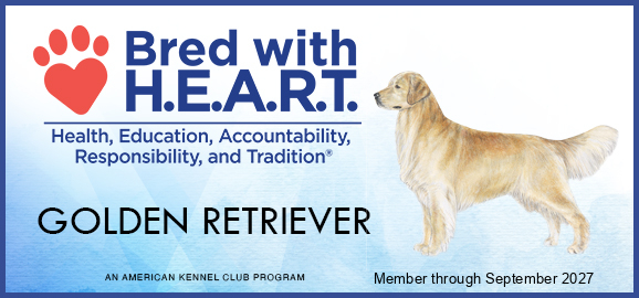 AKC Bred with H.E.A.R.T. Golden Retriever breeder, member through September 2027