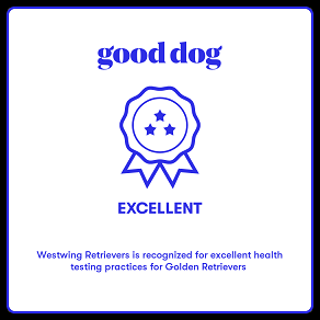 Good Dog: recognized for health testing practices