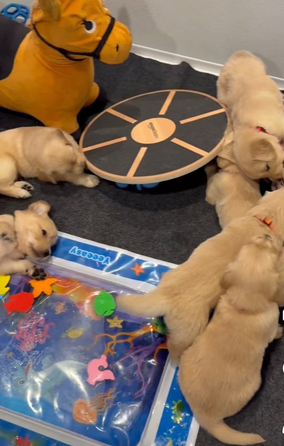 Play Time photos